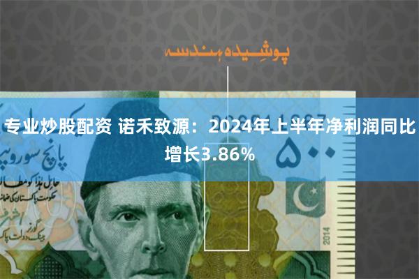 专业炒股配资 诺禾致源：2024年上半年净利润同比增长3.86%