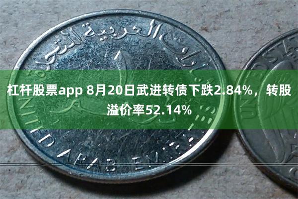 杠杆股票app 8月20日武进转债下跌2.84%，转股溢价率52.14%