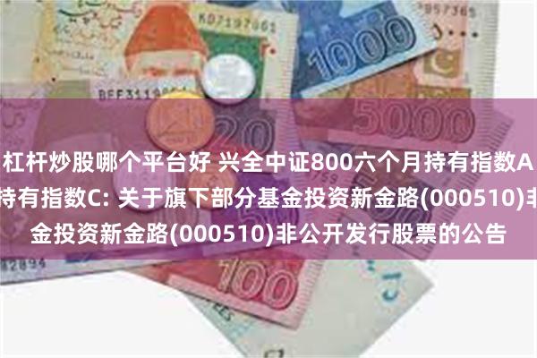 杠杆炒股哪个平台好 兴全中证800六个月持有指数A,兴全中证800六个月持有指数C: 关于旗下部分基金投资新金路(000510)非公开发行股票的公告