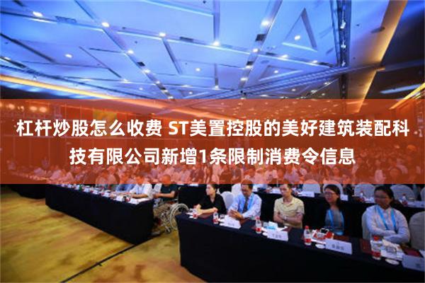 杠杆炒股怎么收费 ST美置控股的美好建筑装配科技有限公司新增1条限制消费令信息