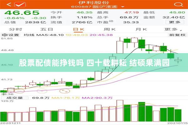 股票配债能挣钱吗 四十载耕耘 结硕果满园