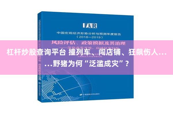 杠杆炒股查询平台 撞列车、闯店铺、狂飙伤人……野猪为何“泛滥成灾”？