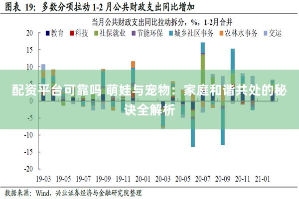 配资平台可靠吗 萌娃与宠物：家庭和谐共处的秘诀全解析