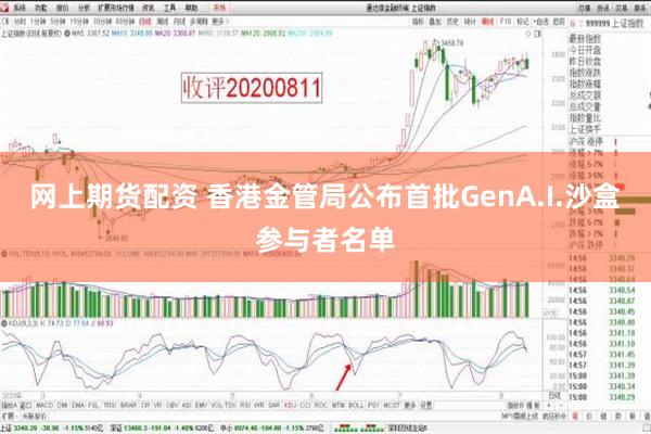 网上期货配资 香港金管局公布首批GenA.I.沙盒参与者名单