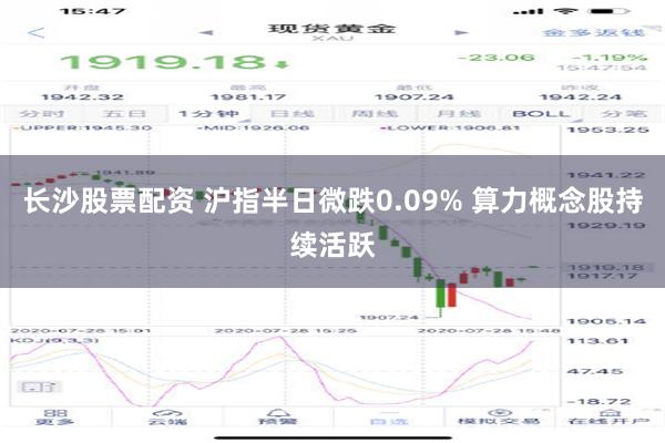 长沙股票配资 沪指半日微跌0.09% 算力概念股持续活跃