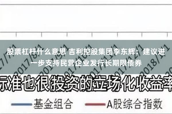 股票杠杆什么意思 吉利控股集团李东辉：建议进一步支持民营企业发行长期限债券